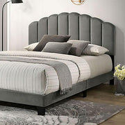 Dark Gray