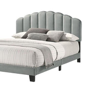 Light Gray